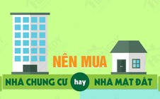 Nên mua nhà phố hay chung cư?