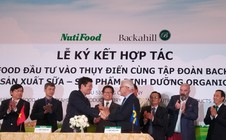 Tỉ phú bất động sản Thụy Điển hợp tác với NutiFood sản xuất sữa