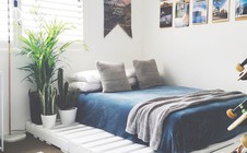 Các kiểu giường pallet có giá hợp lý cho phòng ngủ của bạn
