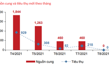 DKRA: Có thể bán tháo, giảm giá đất nền trên diện rộng