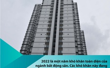 Nhìn lại thị trường bất động sản 2022 và dự báo năm 2023