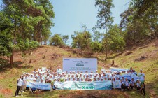 Panasonic trồng rừng, góp phần tăng cường tín chỉ carbon rừng ở Việt Nam