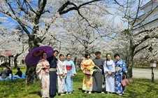 Khách Việt trải nghiệm mặc kimono, ngắm hoa anh đào ở Nhật Bản