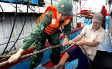 Quảng Ngãi họp để ứng phó với bão Fengshen "Thần Gió"