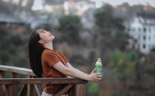 Ban công, playlist và một chai trà xanh: Combo giúp sinh viên năm nhất biến stress thành động lực