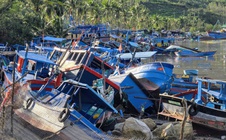 Thủ phủ tôm hùm "bay" hơn 20 tỉ đồng chỉ 1 đêm bão số 13