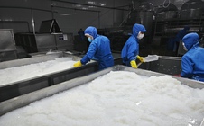 Kinh tế tư nhân - Động lực phải thành thực tế: Trợ lực để kinh tế tư nhân chuyển mình