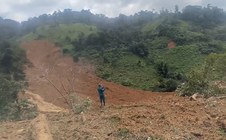 Sạt lở kinh hoàng ở Đà Nẵng: Dùng flycam, chó nghiệp vụ tìm người mất tích