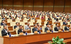 Tiếp nối mạch nguồn dân chủ của đất nước