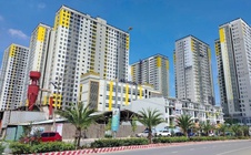 Một đại gia bất động sản vẫn kiên định với "nhà vừa túi tiền" dù nhiều nơi đã vượt 100 triệu đồng/m2