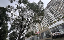 Danh sách 8 dự án nhà ở xã hội tại Đồng Nai được vay gói tín dụng 120.000 tỉ đồng