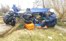 Ứng phó thiên tai: Chính phủ hành động quyết liệt, yêu cầu đảm bảo hạ tầng thông tin an toàn