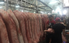 Giá heo hơi hôm nay, 24-11: Heo về chợ tiếp tục giảm, điều gì đang xảy ra?