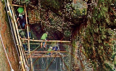 Yến sào Khánh Hòa tham gia cứu hộ, cứu trợ kịp thời cho bà con và CB-CNV vùng ngập lũ