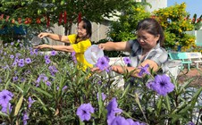 Nơi hiệu triệu mọi tấm lòng (*): Vì hạnh phúc của người dân