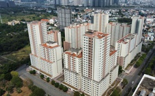 Phải xử lý mạnh hơn nữa với những người trúng đấu giá đất rồi bỏ cọc