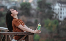 Tháng 11 và cuộc “coolcation”: Khi người trẻ dừng lại để thắng stress