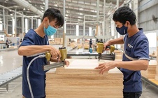 Ngành gỗ chuyển đổi kép để thoát gia công