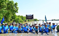 UOB Việt Nam khởi động trồng 10.000 cây rừng phòng hộ Cà Mau