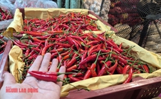 Khó tin: Việt Nam chi hơn 23 triệu USD để nhập khẩu ớt