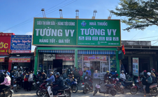 Dược sĩ Đỗ Thị Tường Vy: "Hạt mầm sức khỏe" giữa đại ngàn Tây Nguyên