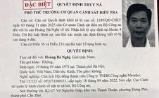 Bộ Công an truy nã đặc biệt Hoàng Bá Nghị, Chủ tịch Công ty NhoNho