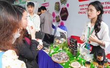 Trình làng nhiều món giò chả, kho quẹt, bánh... "độc lạ" từ dế