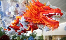 Biểu tượng rồng thiêng đỏ rực tại sân bay Nội Bài