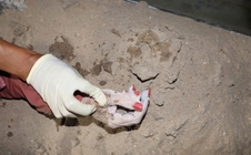 Phát hiện thi thể nữ có 6 ngón tay, sơn màu đỏ trên sông Sài Gòn