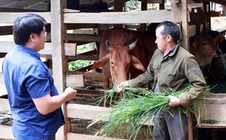 Thay đổi hành vi - Chìa khóa để giảm nghèo bền vững