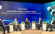 TPHCM cần làm gì để đạt mục tiêu tối thiểu 1m2 cây xanh công cộng/người?