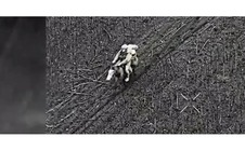 Điểm nóng xung đột ngày 24-12: Binh sĩ Nga dùng cách  "lạ", Ukraine tấn công đội tàu Nga