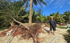 Bãi biển Mỹ Khê có nguy cơ bị "xóa sổ" do triều cường, sóng lớn bất thường