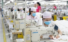 Công ty TNHH Panko Vina giải thể: Quyền lợi người lao động giải quyết ra sao?