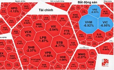 Chuyên gia lý giải VN-Index bất ngờ lao dốc gần 40 điểm chỉ trong 15 phút