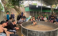 Bí mật bên trong sới bạc có sự tham gia của các chủ trang trại