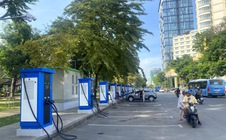 TPHCM trồng thêm 15.000 cây phân tán