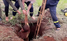 CLIP: Giải cứu người đàn ông rơi xuống hố sâu ở Đồng Nai