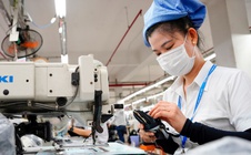 Đà Nẵng công bố thưởng Tết 2026: Mức cao nhất hơn 368 triệu đồng