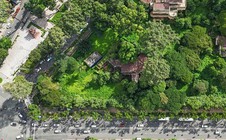 TPHCM hôm nay (26-12), có gì đáng chú ý?