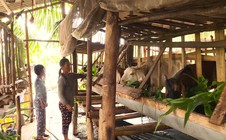 Kết quả ấn tượng của Cà Mau trong công tác giảm nghèo bền vững