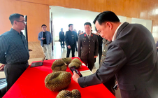 Thí điểm truy xuất nguồn gốc sầu riêng từ đầu năm 2026