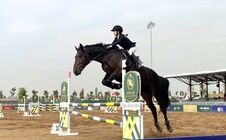 Vinpearl Equestrian Cup 2025: Bước đột phá của thể thao cưỡi ngựa Việt Nam