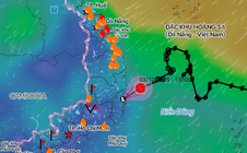 Áp thấp nhiệt đới suy yếu trên đất liền, miền Trung có nơi mưa rất to