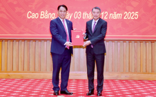 Phó trưởng Ban Tổ chức Trung ương làm Bí thư Tỉnh ủy Cao Bằng