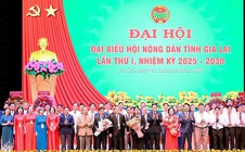 Bà Rơ Chăm H’Hồng được chỉ định giữ chức Chủ tịch Hội Nông dân tỉnh Gia Lai