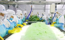 GC FOOD sắp đại hội cổ đông, đề ra chỉ tiêu ấn tượng