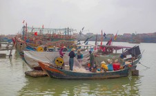 Lý do khiến 11 tàu cá bị phạt gần 1,4 tỉ đồng ở Quảng Bình