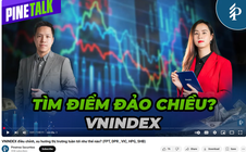 Điều gì tạo nên khác biệt cho bản tin và báo cáo chứng khoán?
