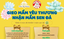 Ngày hội Phú Mỹ Hưng hướng về trẻ em lần 14: Cùng bé gieo mầm yêu thương